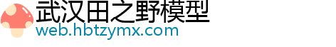 武汉田之野模型